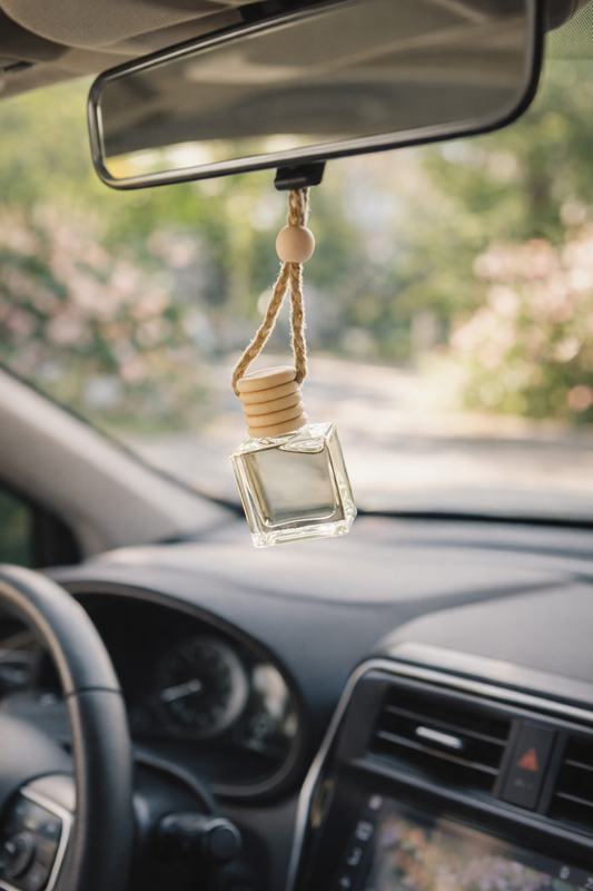 Hanging Car Diffusers